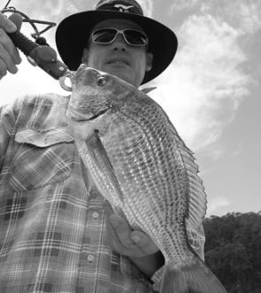 Bream like this are common in the Bega River.